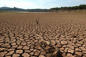 Día Contra Cambio Climático