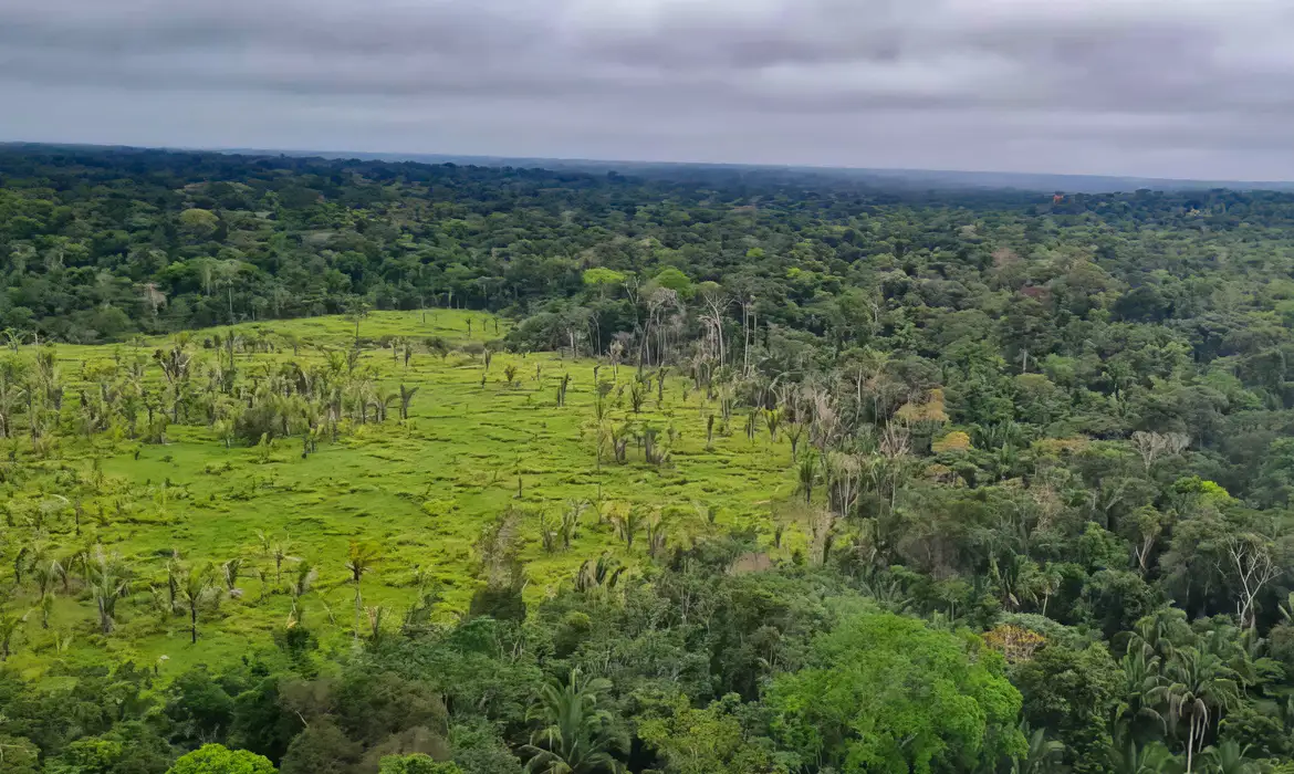 Em 2024 reduziu as taxas de desmatamento na Amazônia brasileira em 30,6%.