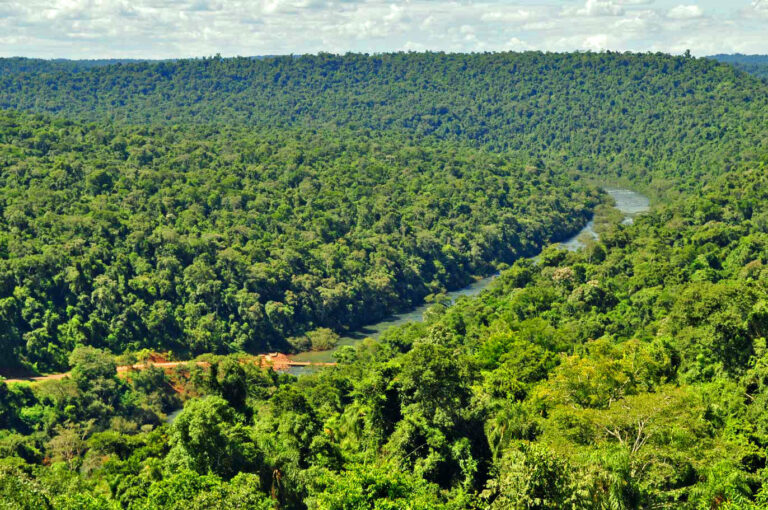 Polémica por el nuevo ordenamiento territorial de Salta: habilita el desmonte de 700 mil hectáreas