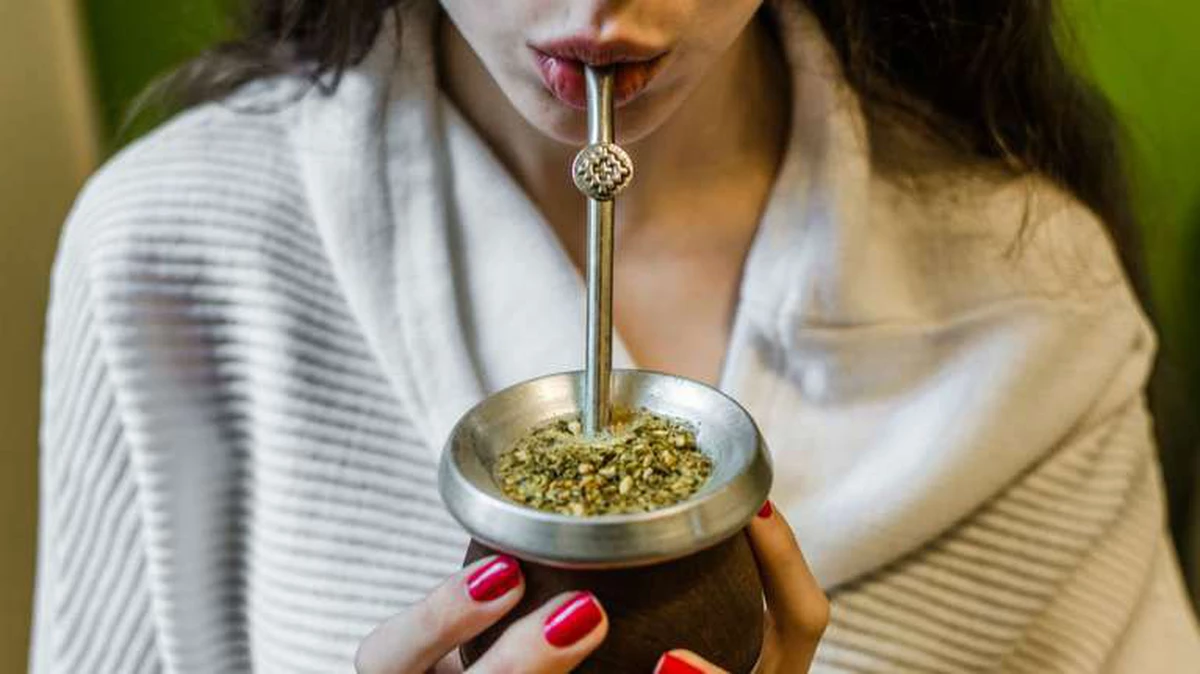 yerba mate