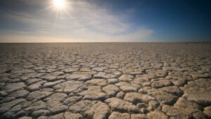 Neighbors claim they led a aquifer into drought.
