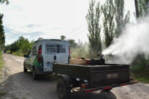 Invasión de mosquitos en San Vicente