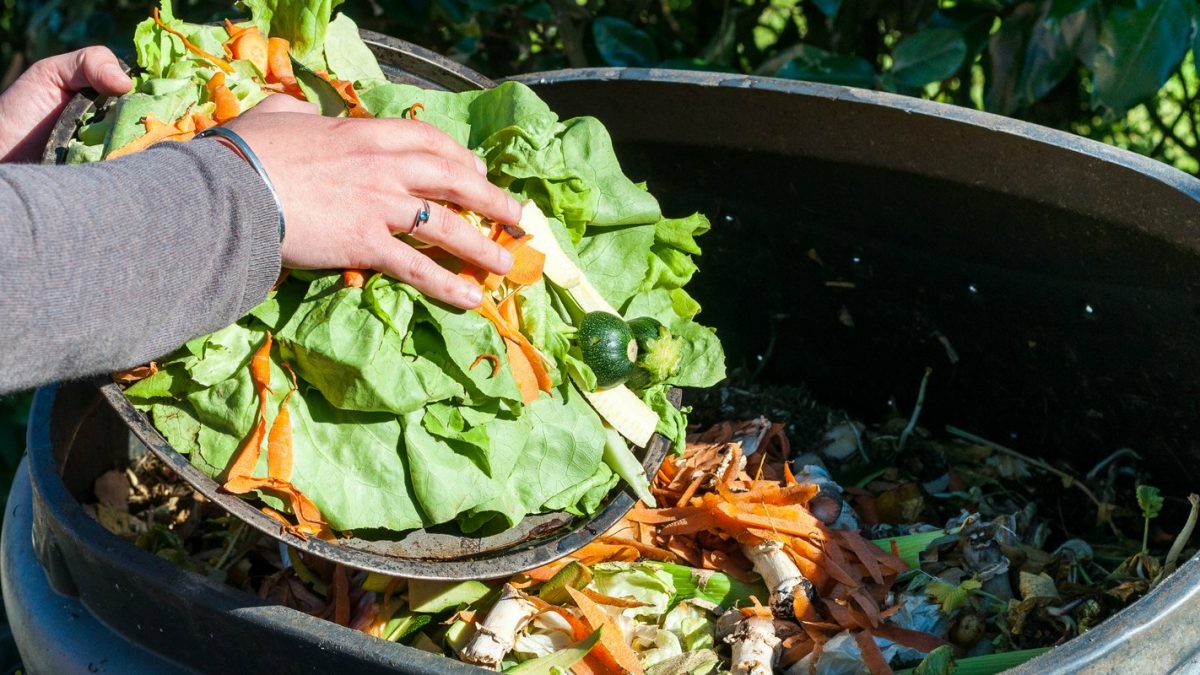 desperdicio de alimentos