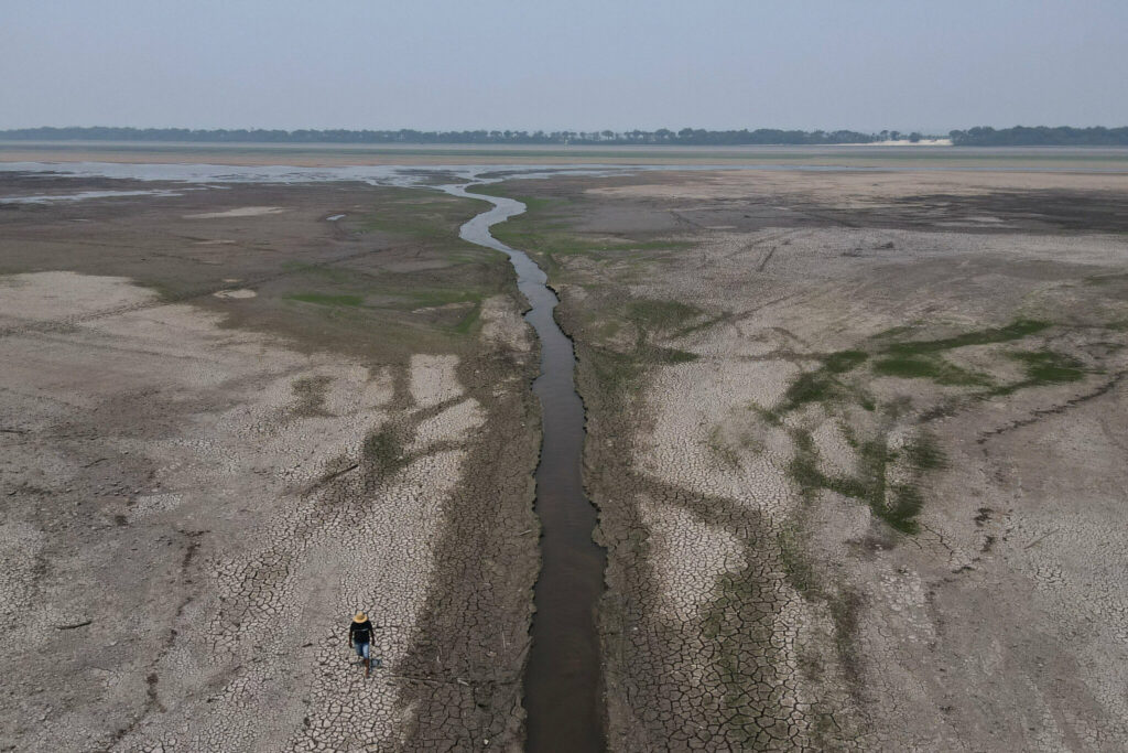 destruyendo el Amazonas