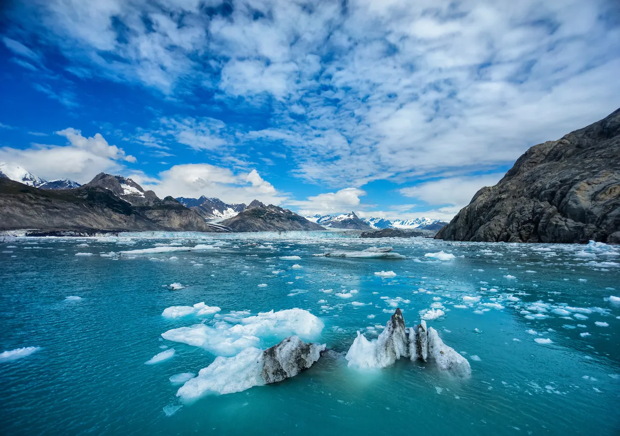 se permiten perros en el desierto del pico glaciar