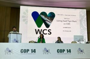 Juan Cuevas representando a WCS en CMS COP14