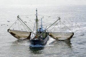 Trawling Fishing