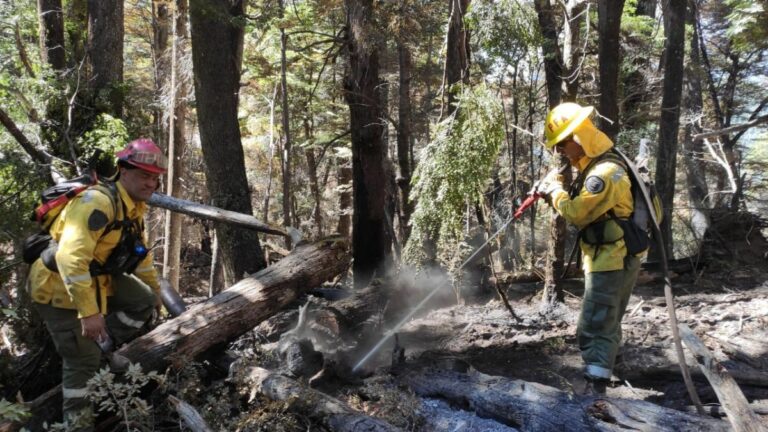 Nueva etapa de “Alerta Patagonia”, la campaña para prevenir incendios forestales