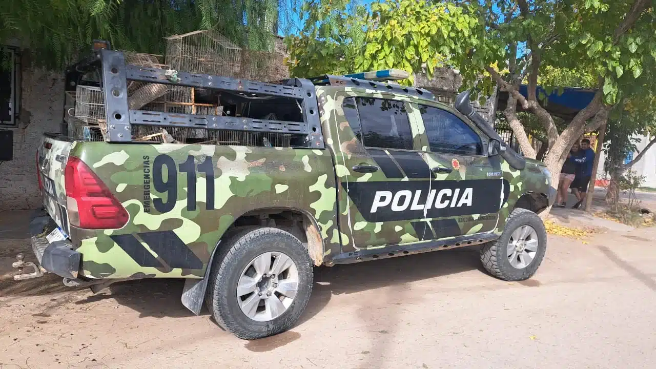 Native birds rescue operation in San Juan