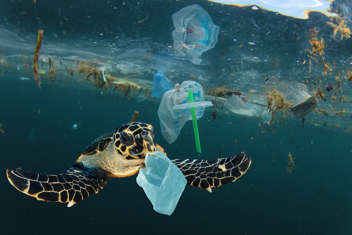 circularity of plastics