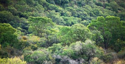 A situação da reserva. (Foto: Sala de prensa ambiental).