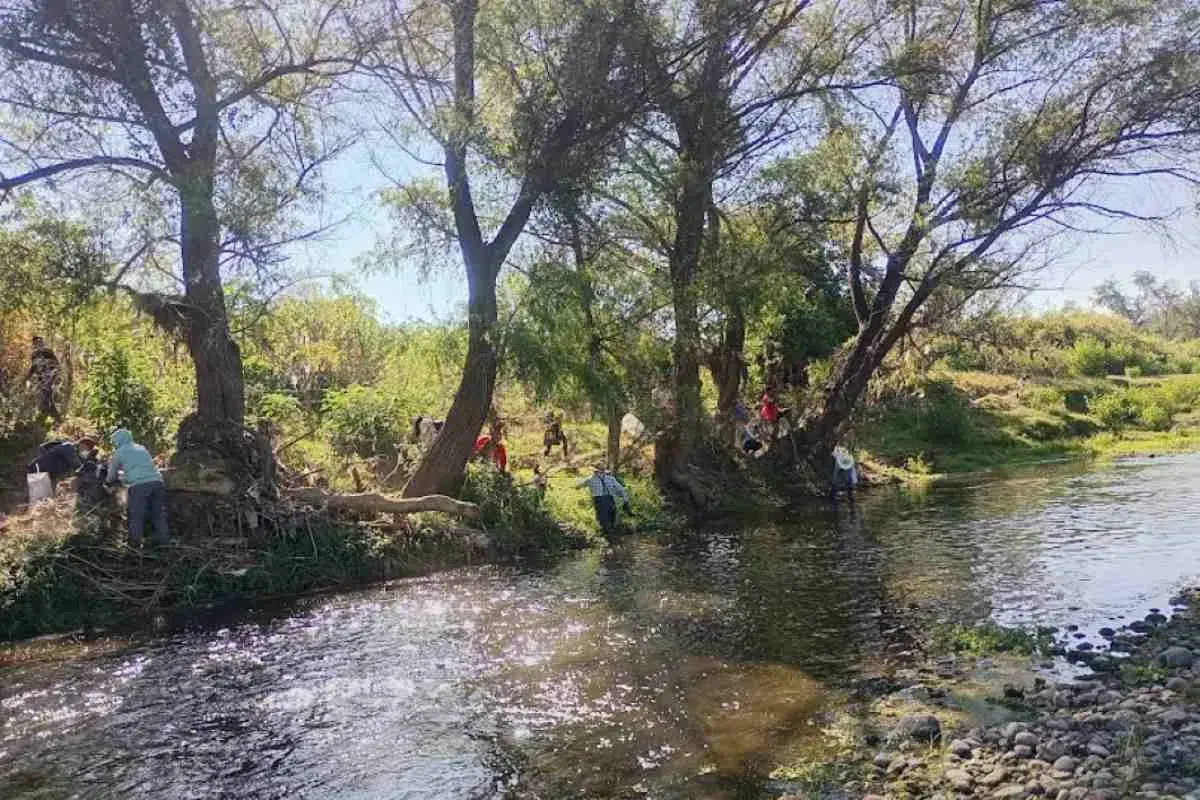 “Adopt a River”, the significant environmental initiative gaining strength in Mexico