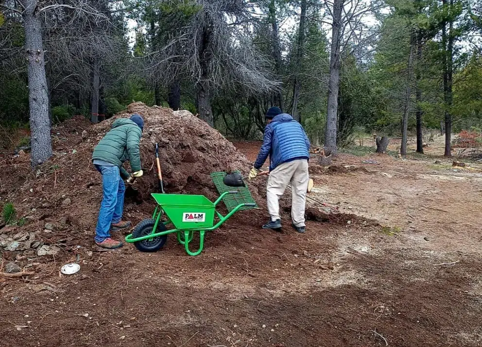 Native forests