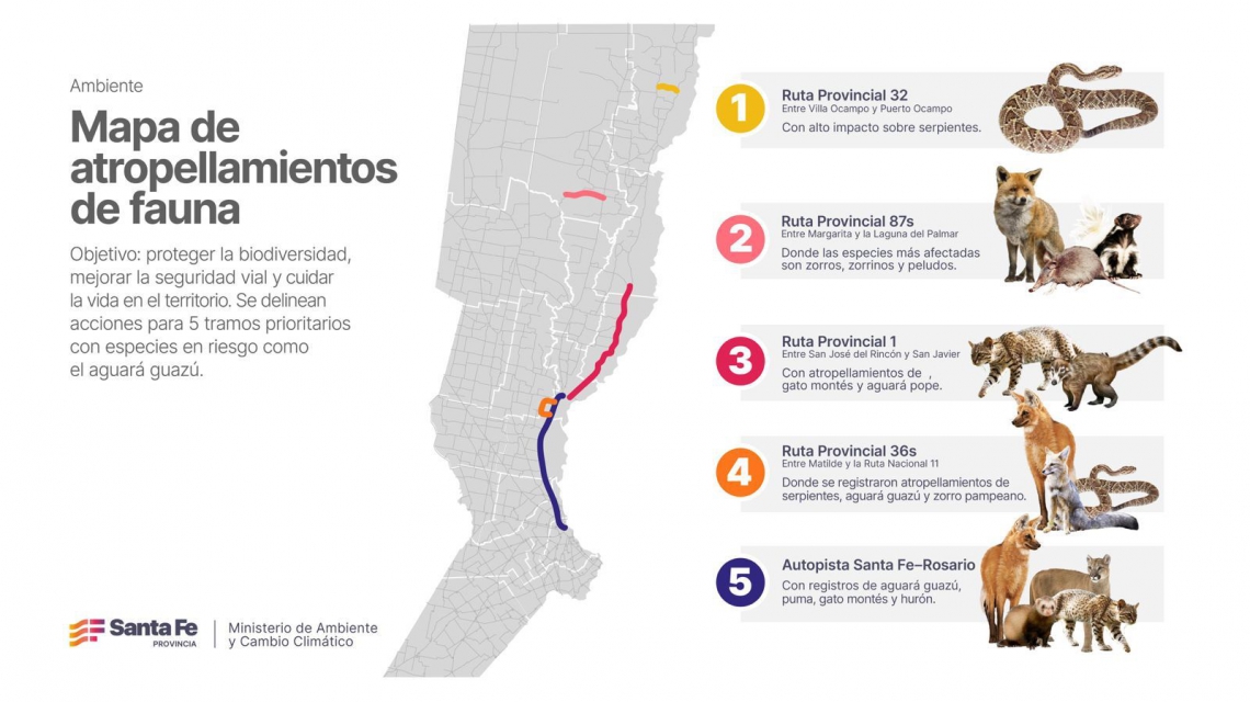 El mapa de atropellamiento que presentó Santa Fe. (Foto: Gobierno provincial).