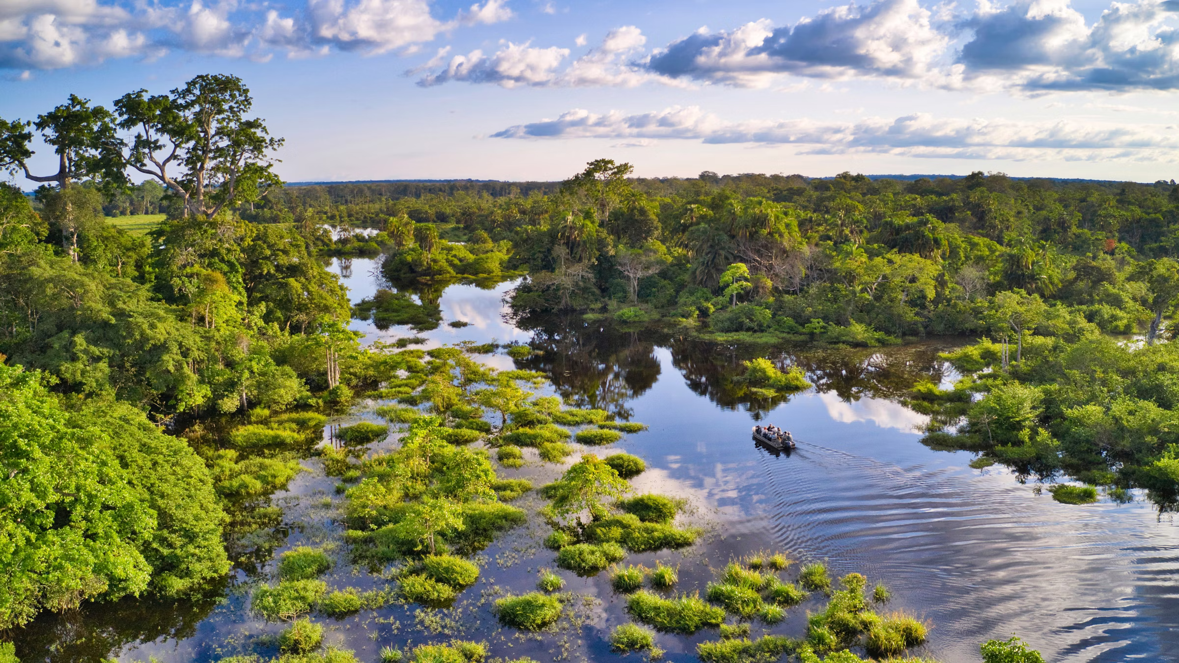 La selva del Congo, considerada históricamente como uno de los principales sumideros de carbono del planeta, atraviesa una transformación alarmante. 