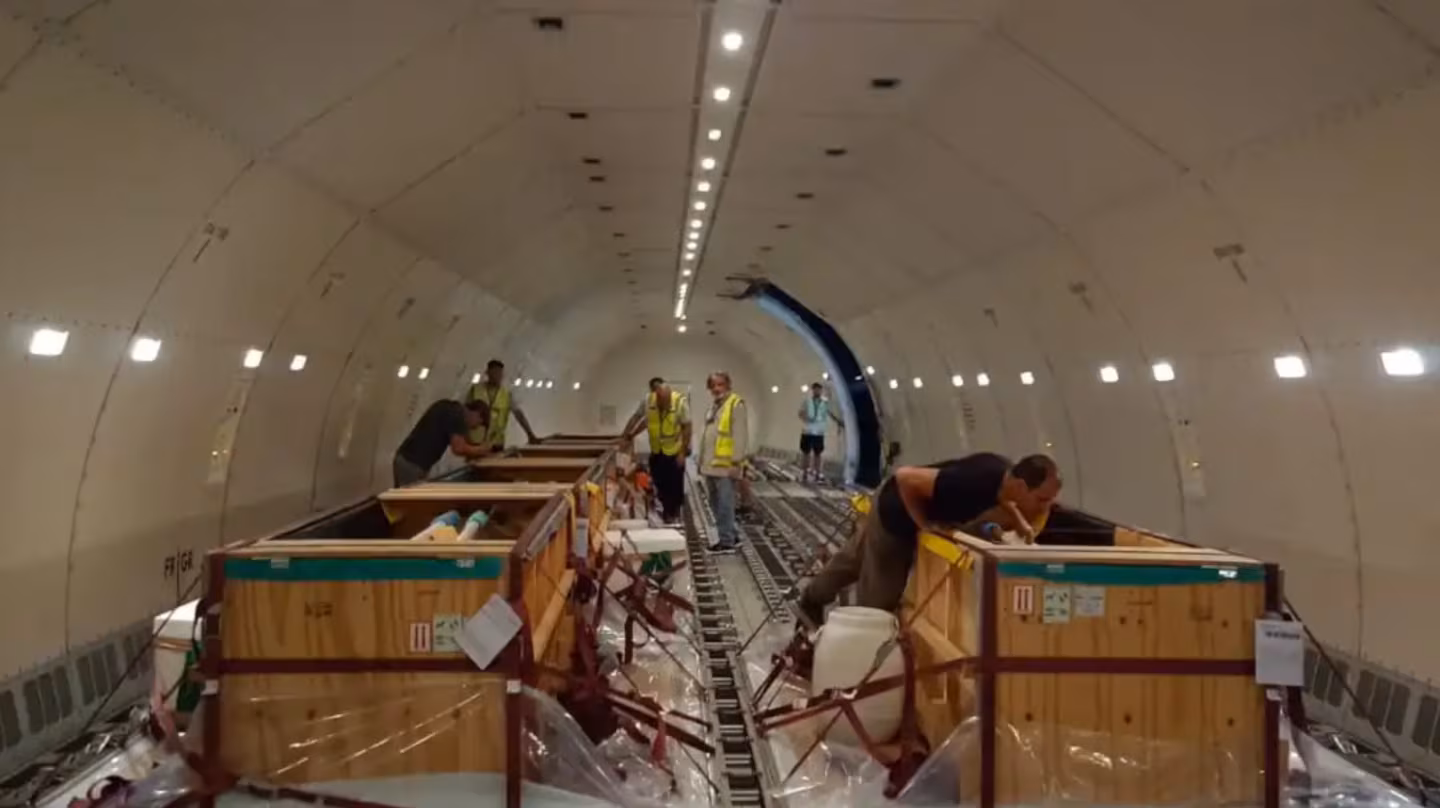 Trasladaron 10 delfines desde Mar del Plata hasta Egipto