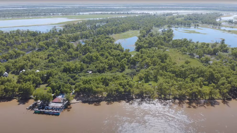 tourisme durable Paraná - île des mâts
