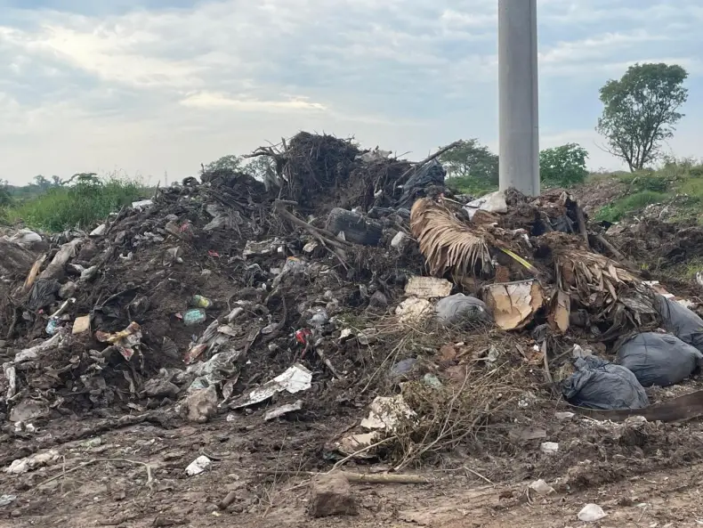 Presentan un amparo para proteger el Parque Caraguatá y frenar un basural que amenaza humedales en Chaco. Foto: Noticiero9.