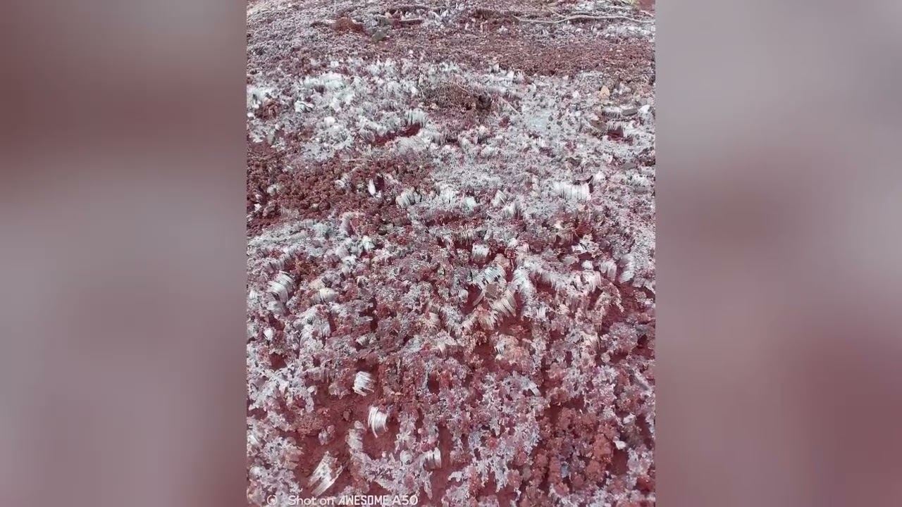 agujas de hielo