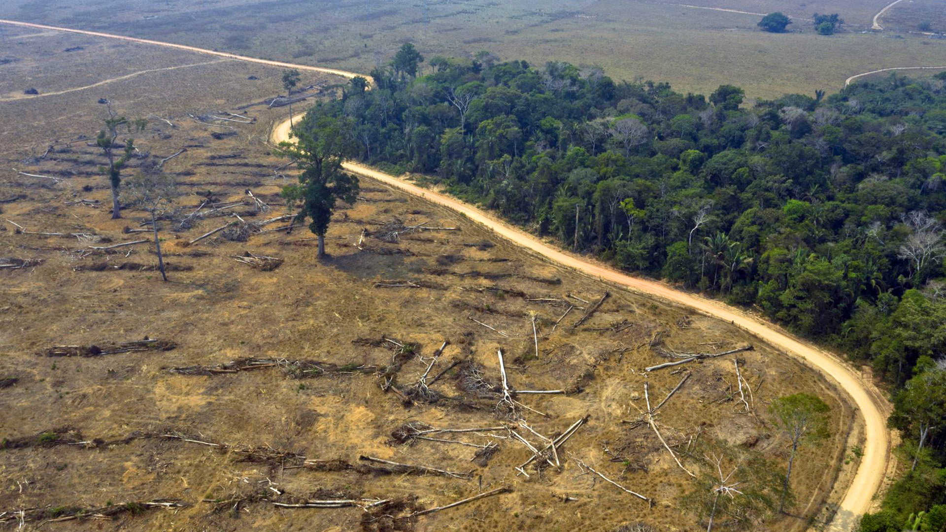 deforestación amazonia