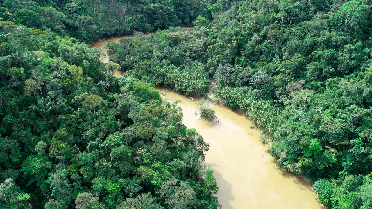 deforestation in Colombia