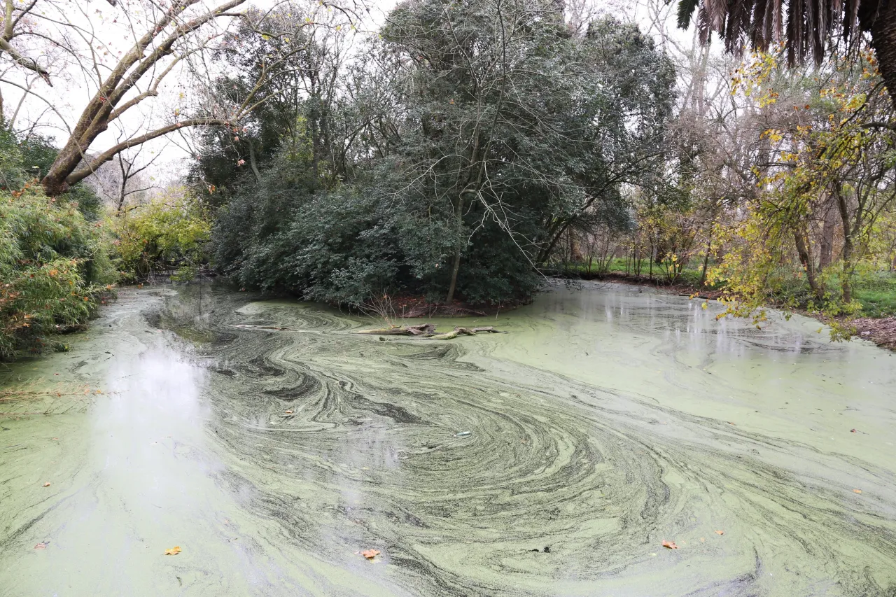 La Reserva de Biosfera Pereyra Iraola enfrenta nuevos reclamos por obras y preservación de su ecosistema protegido. Foto: BAFilma.